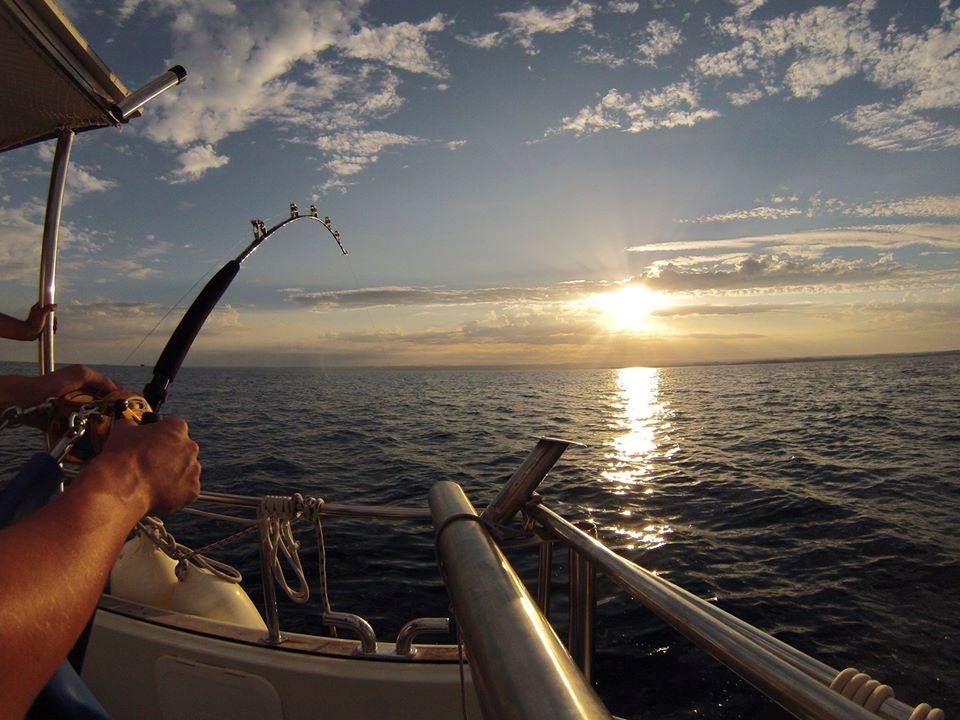 Bora Bora Fishing 2