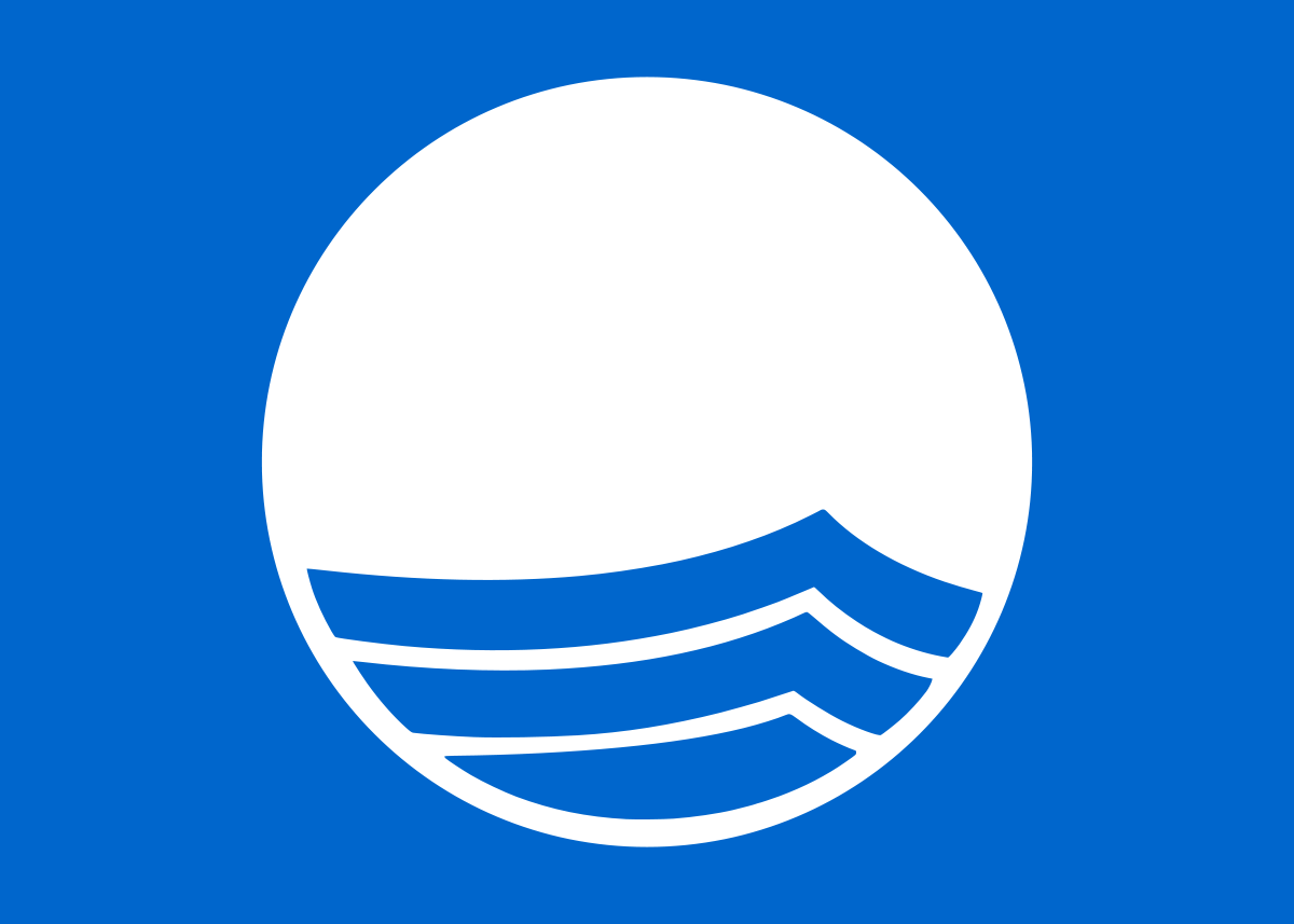 1200Px Blue Flag Logo.Svg